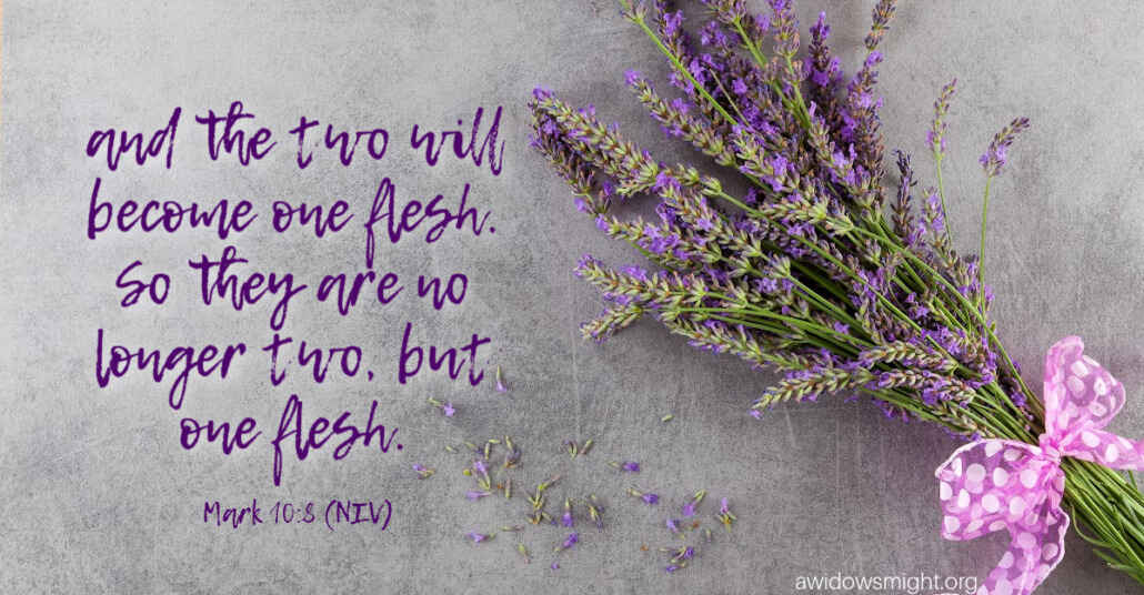 Complete in Christ | A Widow's Might