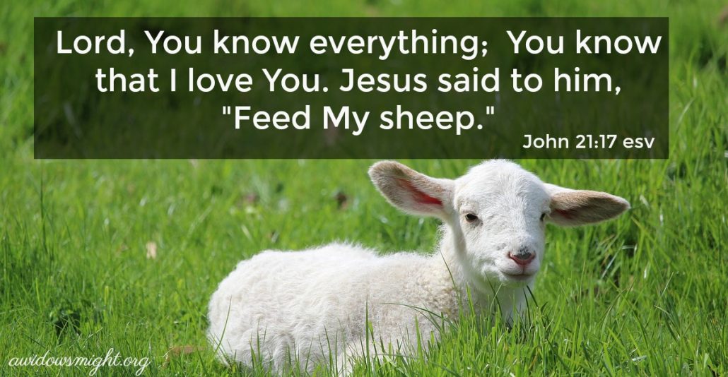 Feed My Sheep A Widow's Might